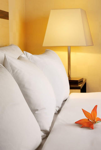 Bamboo Linen Sheet Set -RD